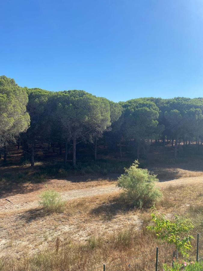 Studio Cabine Mer Et Pinede 26M2: 4Pers, Neuf, Cosy La Grande Motte Exteriör bild
